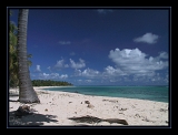 Marie Galante1